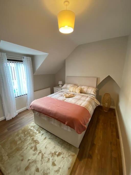 The Cozy Homestay Белфаст Экстерьер фото